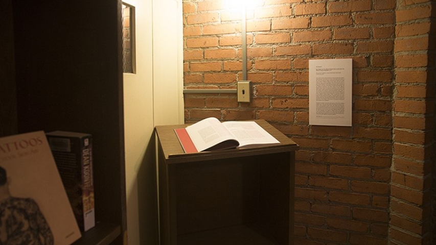 https://www.suejeongka.com/files/gimgs/th-8_52_the banned books_jefferson market library 005.jpg